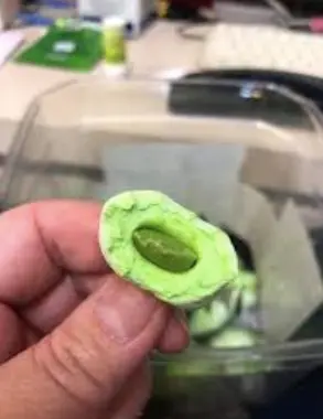 Screen Shot 2025-12-31 at 11.05.11 am.webp