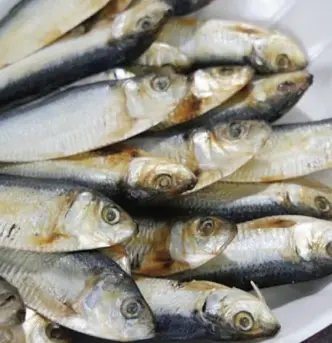 Screen Shot 2026-03-23 at 10.17.19 am.webp