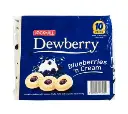 Jack 'n Jill (Bakery) Dewberry Blueberry 20x(10x33g) 