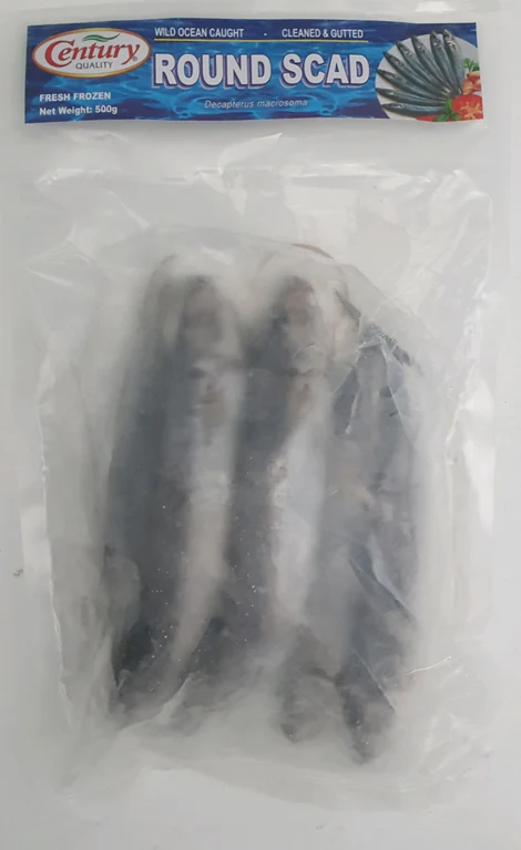 FROZEN Century Round Scad (Galunggong) Gutted 20x500g